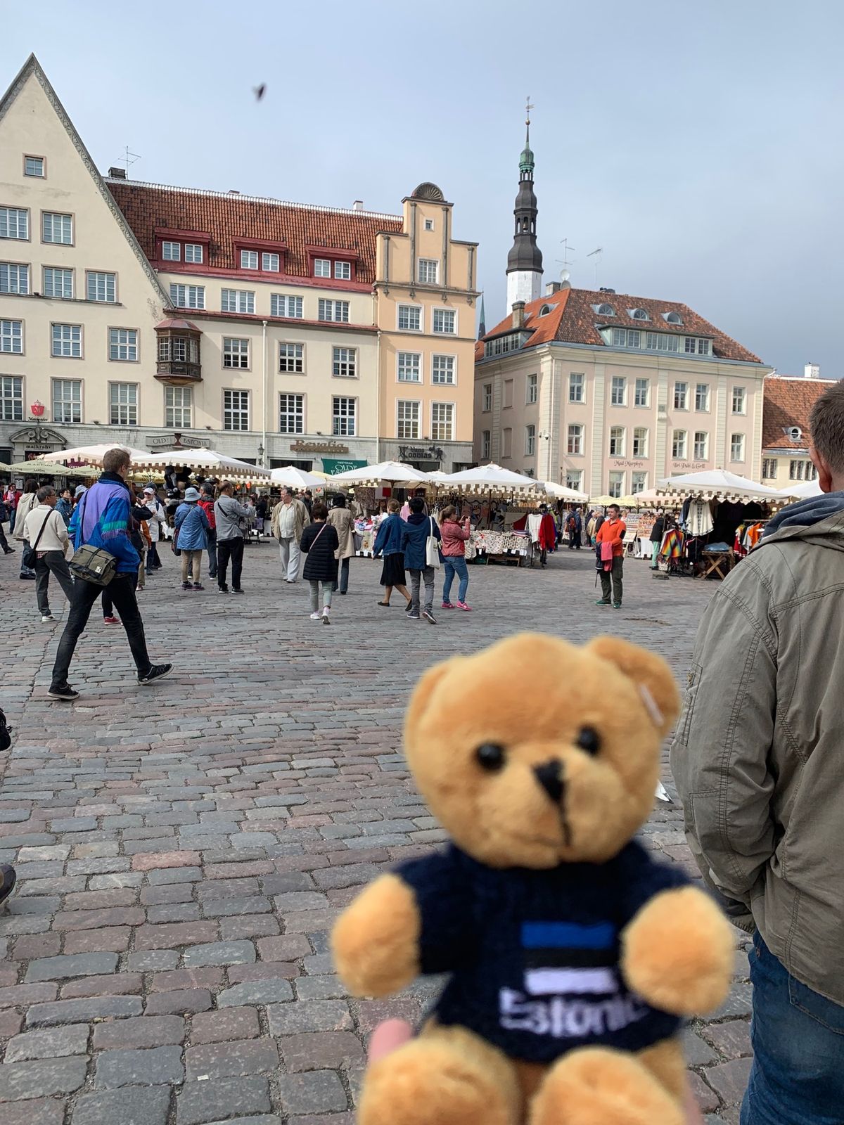 ラトビアから陸続きでバルト三国1番北のエストニア共和国🇪🇪へ入国🚌
タリン...