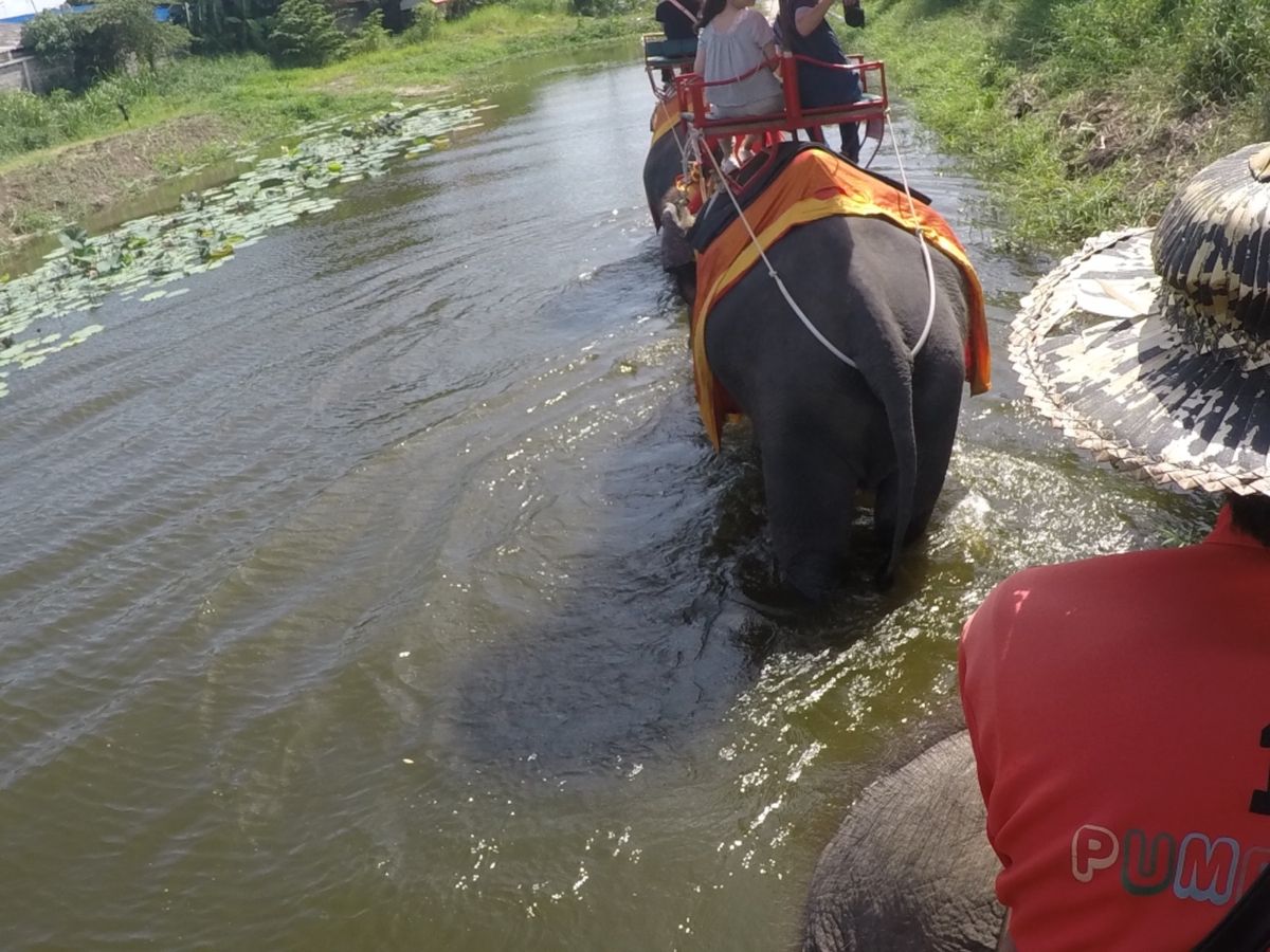 アユタヤ
念願の象さんの背中🐘