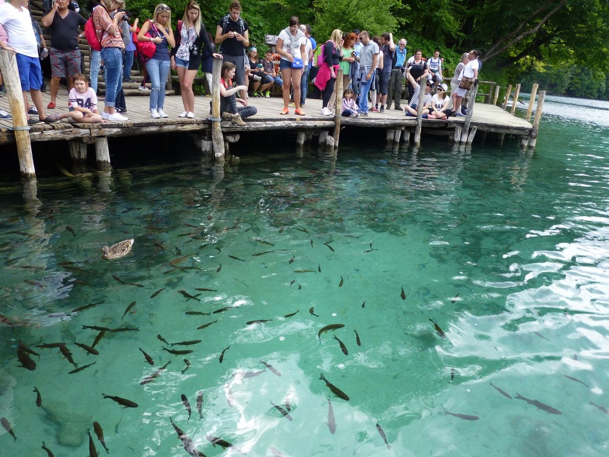 ・プリトヴィツェ国立公園
・コースは幾つもあり、コースによってはかなり険し...