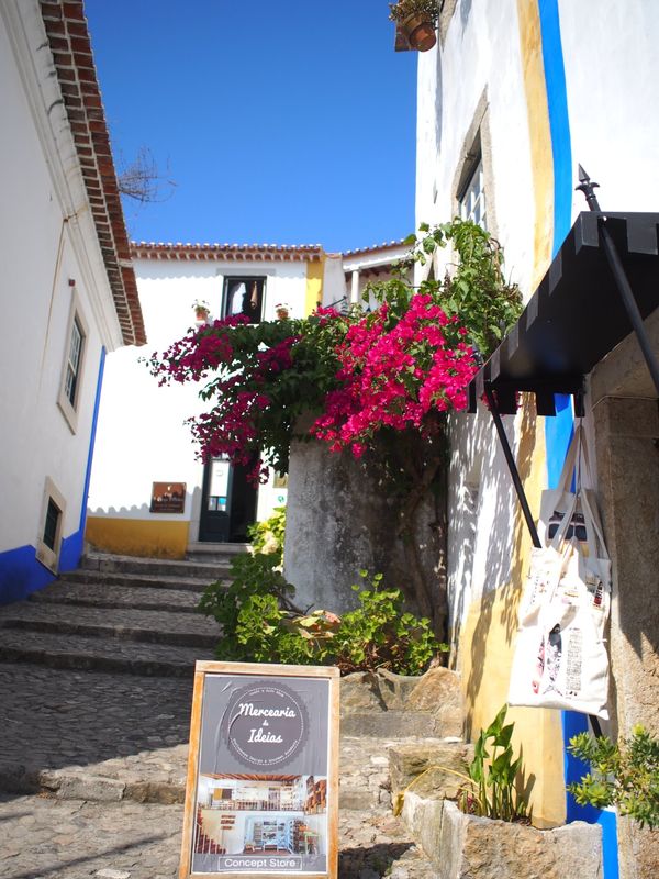 ポルトガル・リスボン「Seeking Bacalhau to Lisbon 」の写真：とってもかわいいオビドの街。
要塞に登れ...