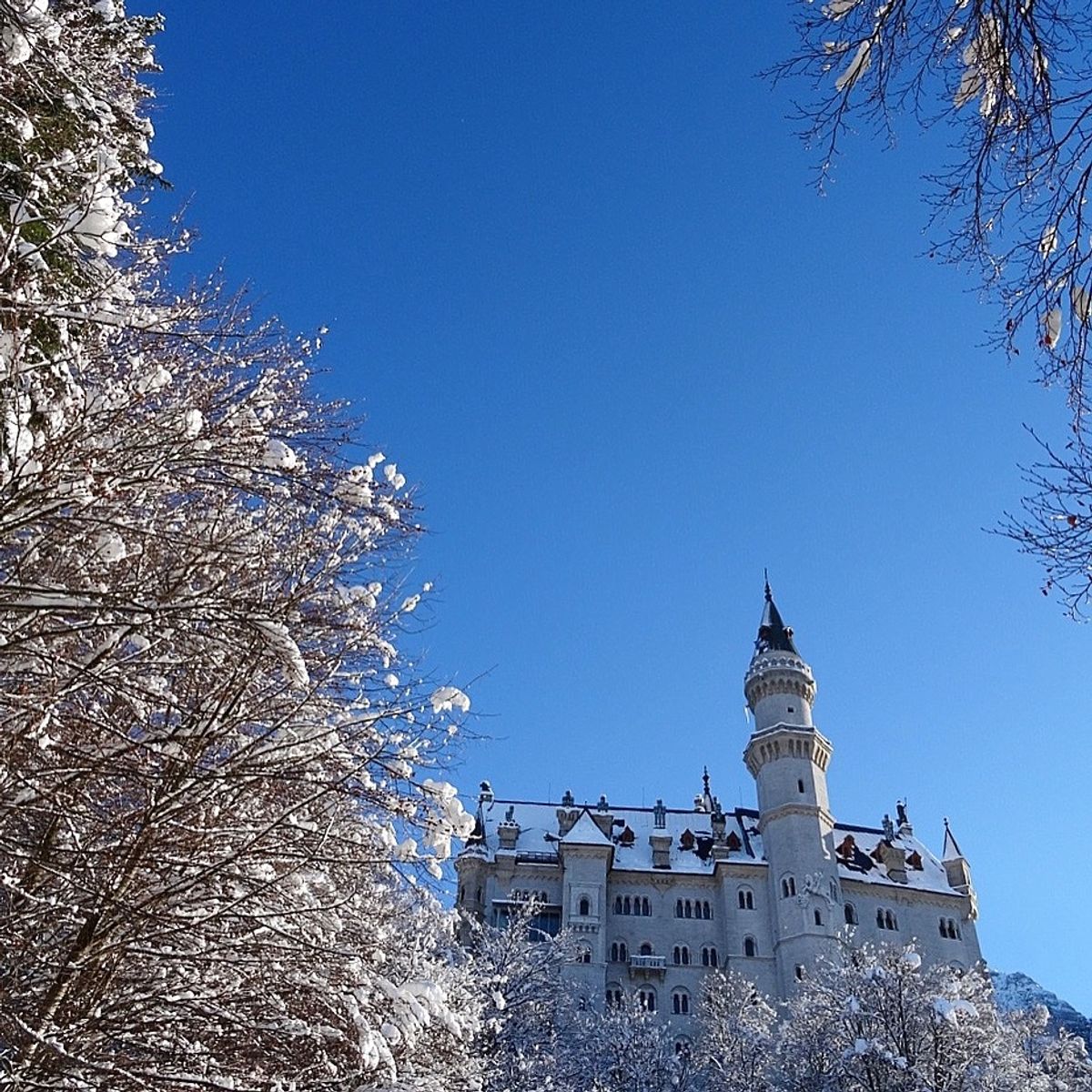 ノイシュバンシュタイン城
雪の時期が1番すき
やっぱり綺麗でした