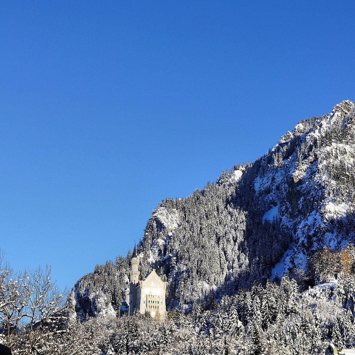 ノイシュバンシュタイン城
雪の時期が1番すき
やっぱり綺麗でした