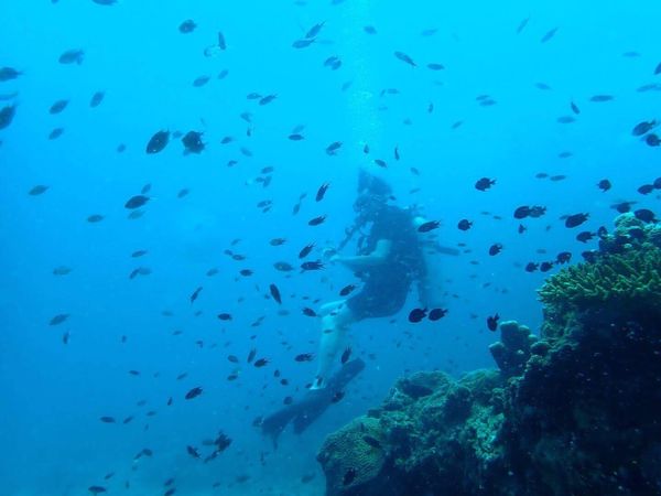 タイ「Koh Samui」の写真