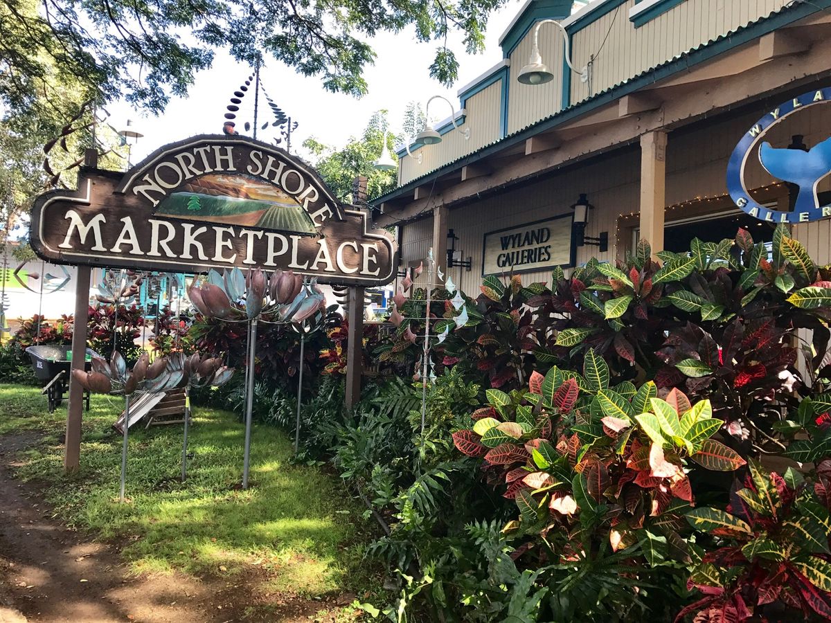 ハワイは日本と全然景色が違うから、歩いているだけで楽しい◎
海が見える街...