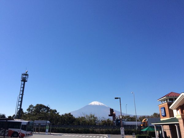 日本「Goura」の写真