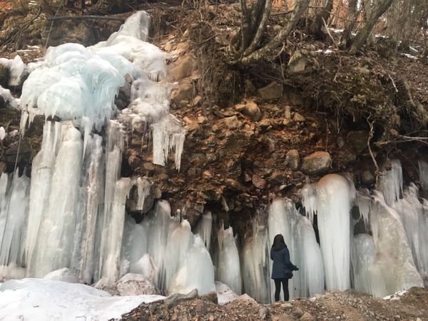日本「Ueda」の写真