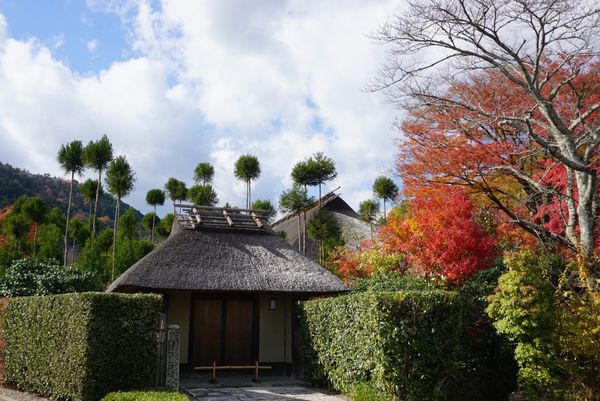 日本・東山、嵐山、etc「京都・紅葉を愛でる旅」の写真