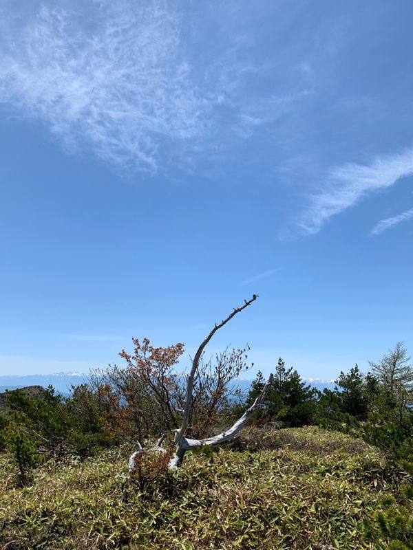 日本・湯の丸山、群馬、長野「同僚と湯の丸登山」の写真