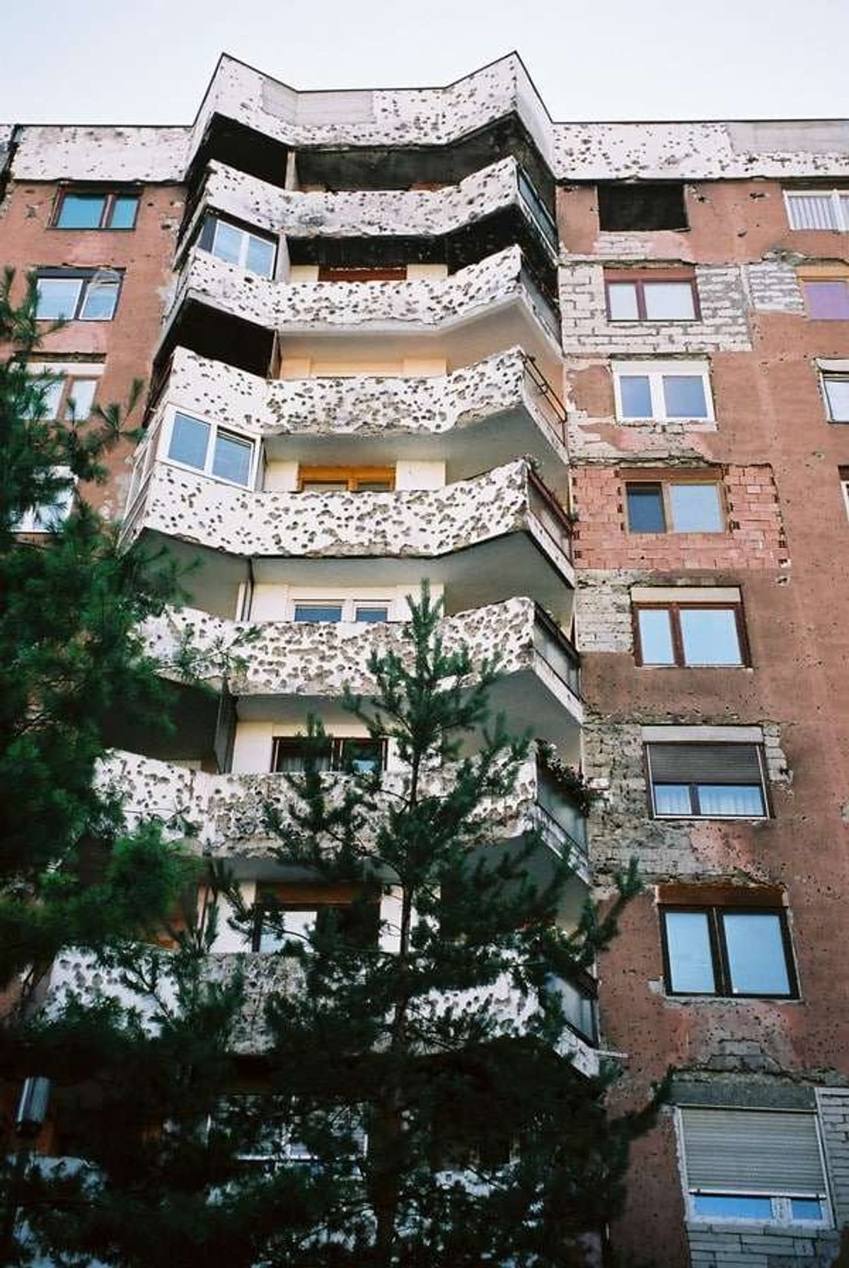 蜂の巣のまま住み続けるアパート