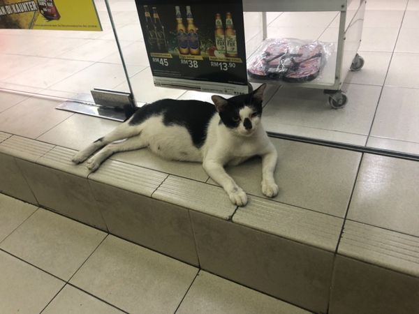 マレーシア・マラッカ「マラッカ」の写真