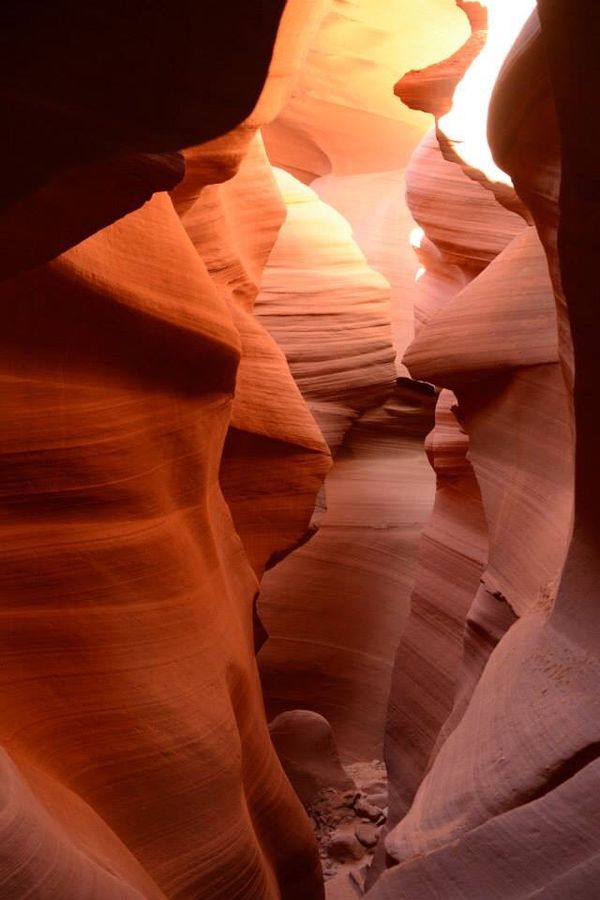 アメリカ(米国)・ラスベガス「グランドサークルとベガスとロス」の写真