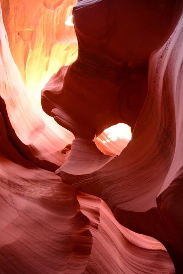 アメリカ(米国)・ラスベガス「グランドサークルとベガスとロス」の写真