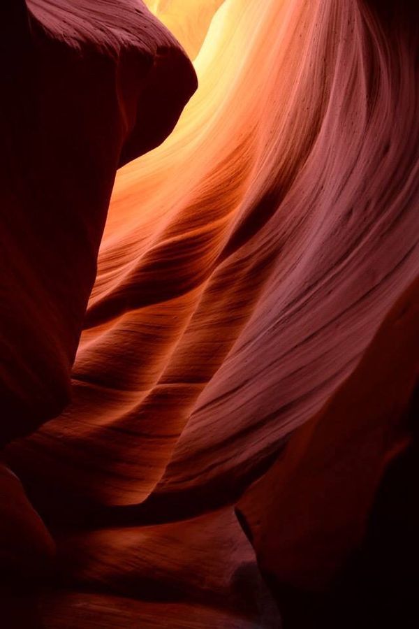 アメリカ(米国)・ラスベガス「グランドサークルとベガスとロス」の写真