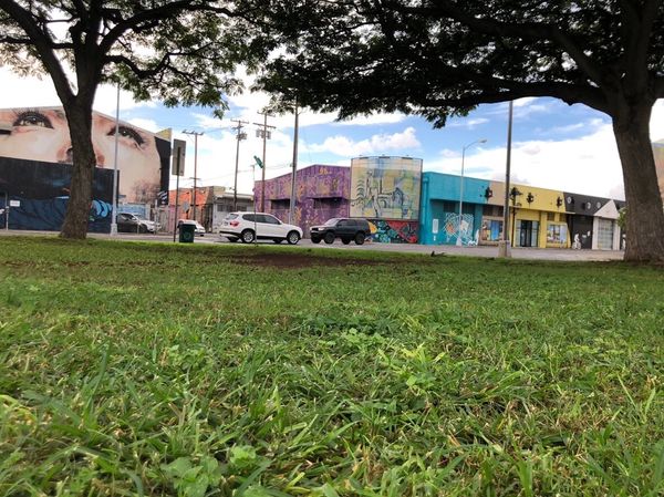 アメリカ(米国)・ハワイ「ハワイ旅行(1回目)」の写真：カカアコのウォールアート