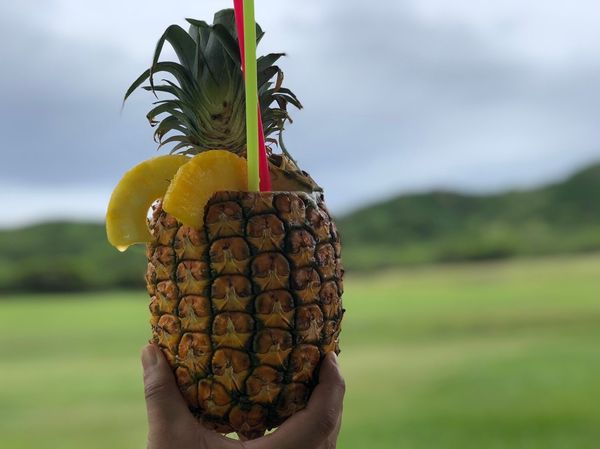 アメリカ(米国)・ハワイ「ハワイ旅行(1回目)」の写真：ダイヤモンドヘッド