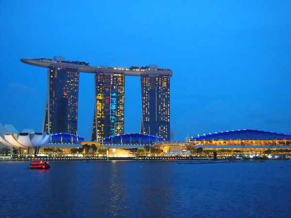 シンガポール「シンガポール2回目 グータラ旅」の写真：このホテル(マリーナベイサンズ)のプール...