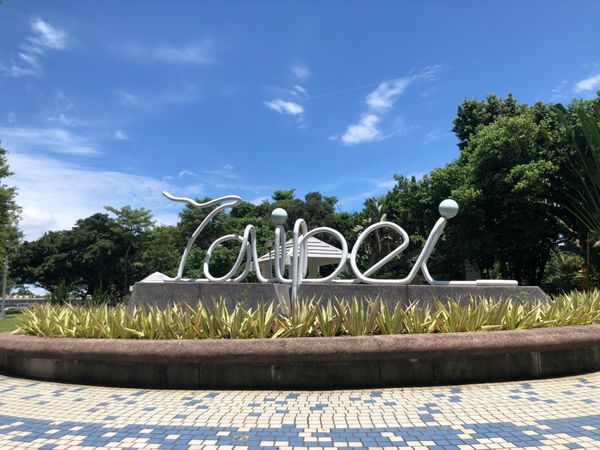 台湾・台北「台湾旅行(1回目)」の写真：台北緑シリーズ