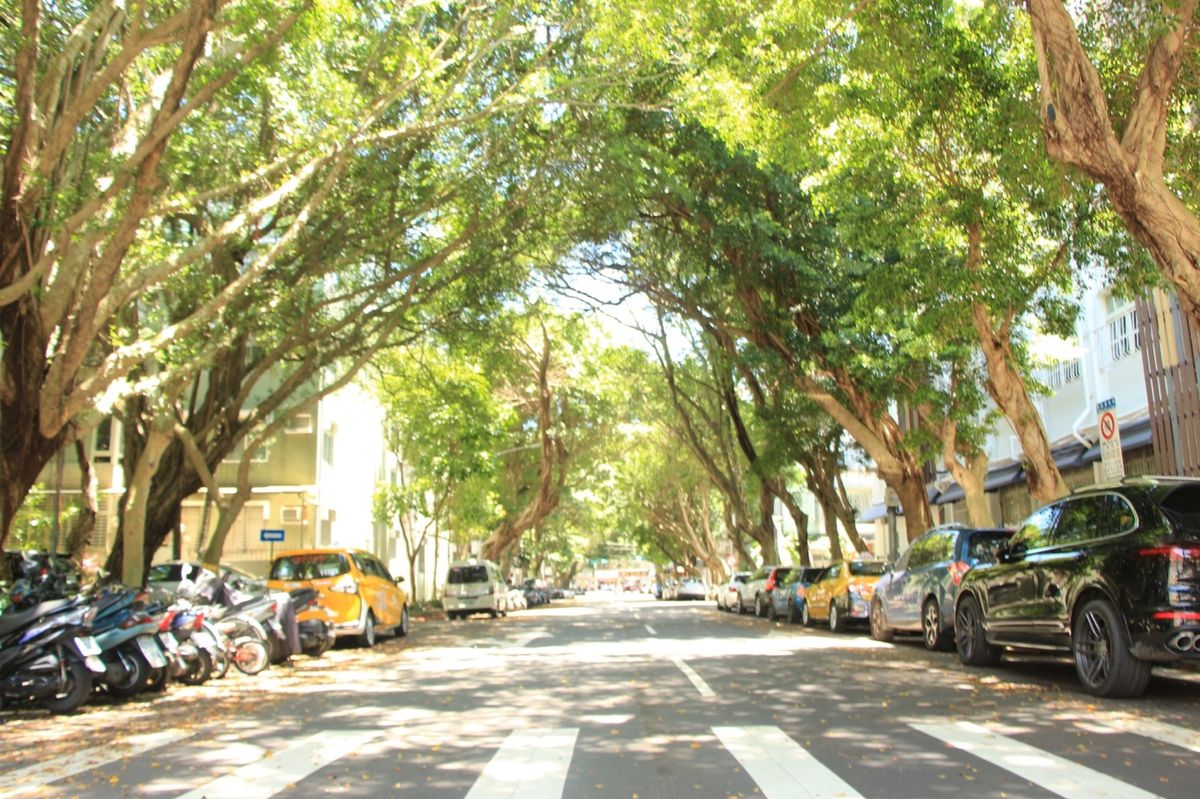 台北緑シリーズ