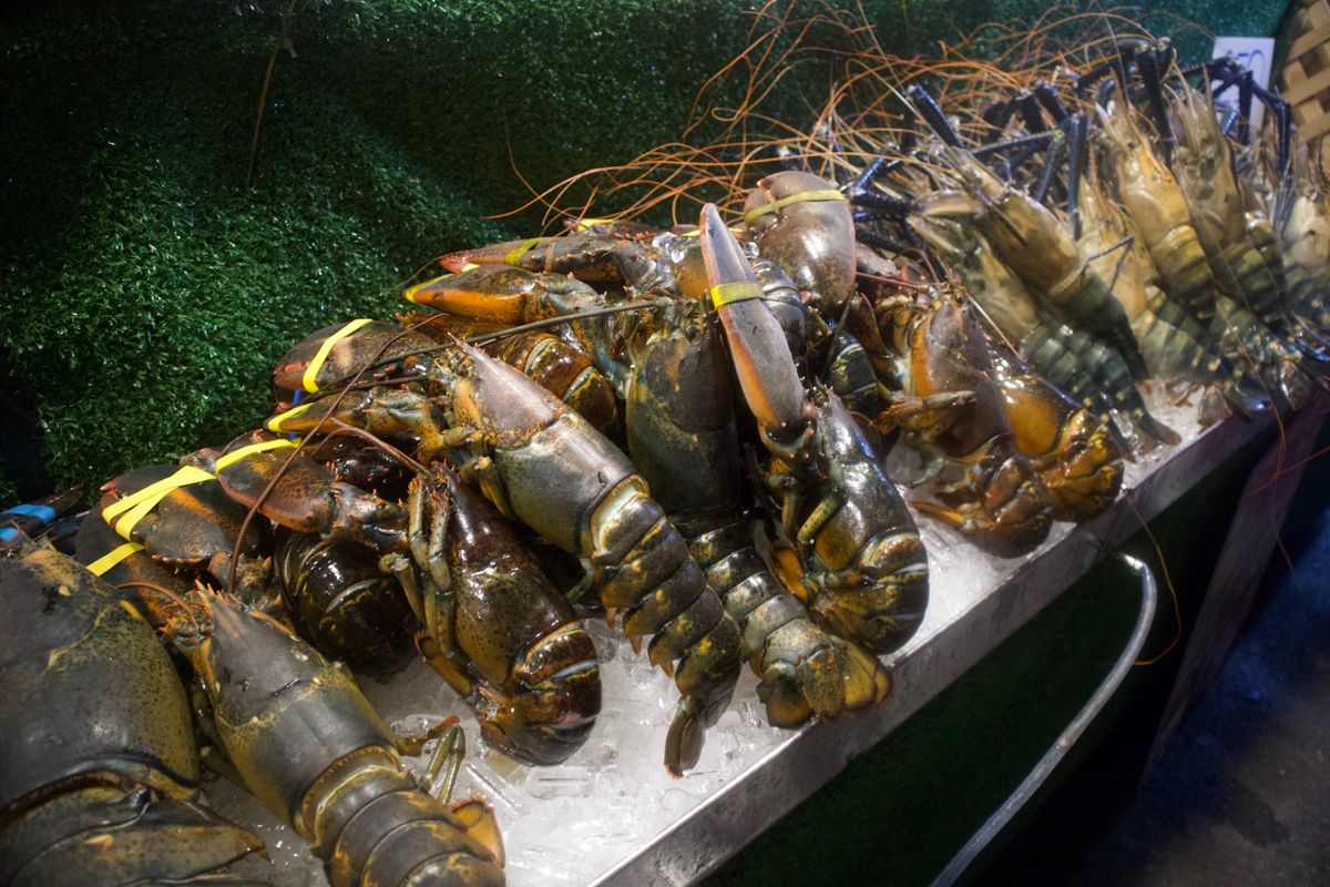 タラートロットファイラチャダー