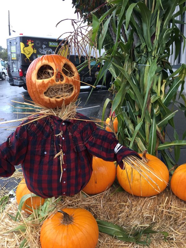 アメリカ(米国)・カリフォルニア、ハーフムーンベイ「ハーフムーンベイ・アート&パンプキンフェスティバル」の写真