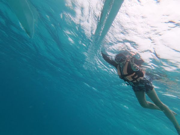 フィリピン・セブ島「セブ」の写真