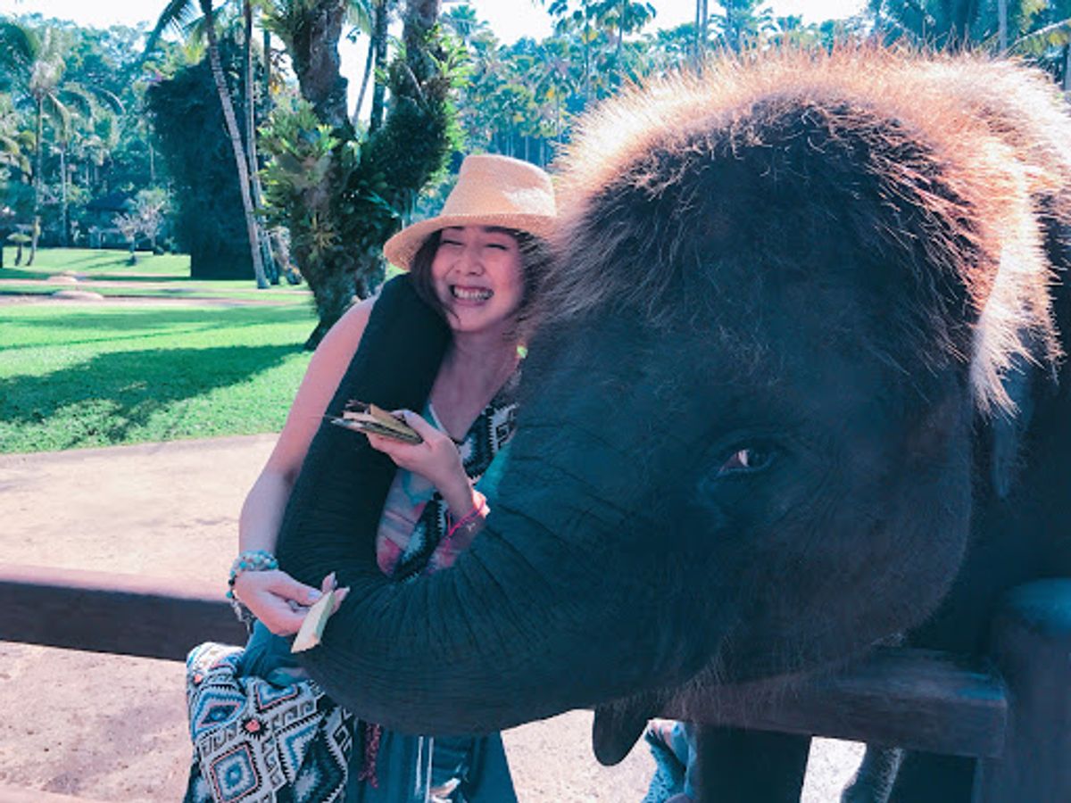 ホテルはアマンダリ。
最高のホスピタリティ！
モンキーフォレストやエレファ...