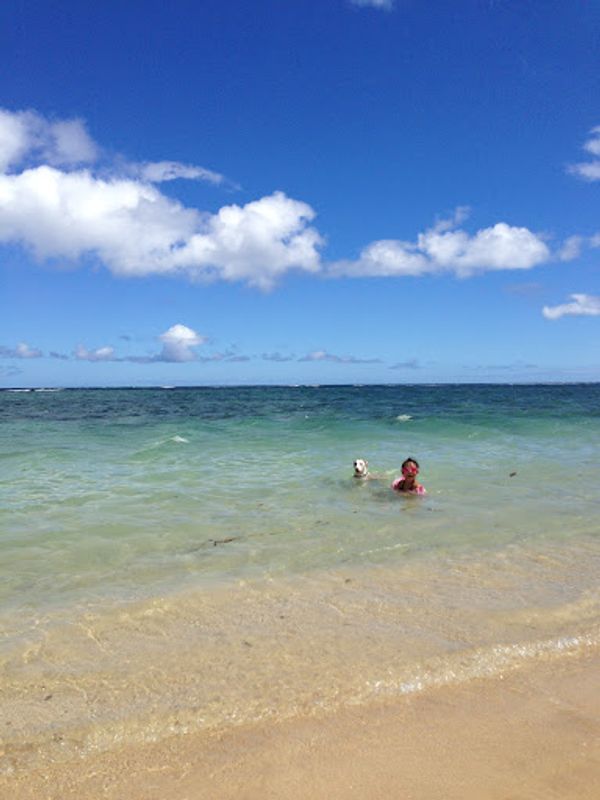 アメリカ(米国)・ハワイ　オアフ島　マウイ島「Hawaii」の写真
