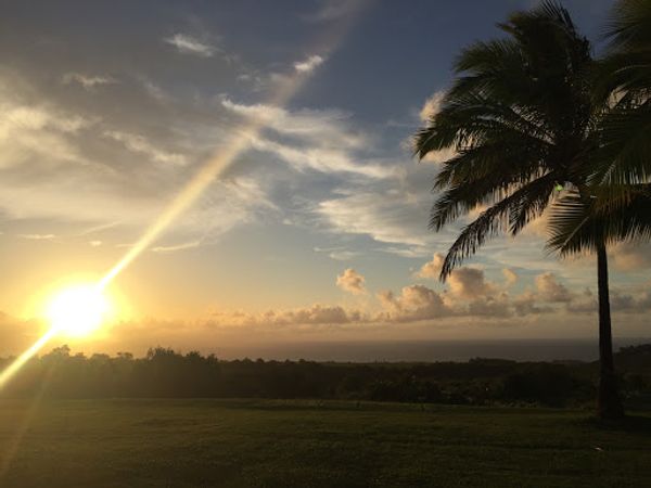 アメリカ(米国)・ハワイ　マウイ島「Hawaii」の写真