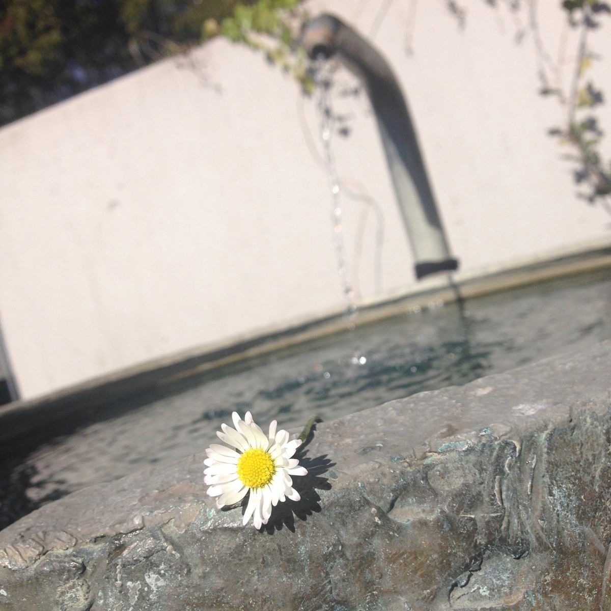 2枚目の噴水は魚から出る水は飲んじゃダメで、天使から出る水を飲み水として飲...