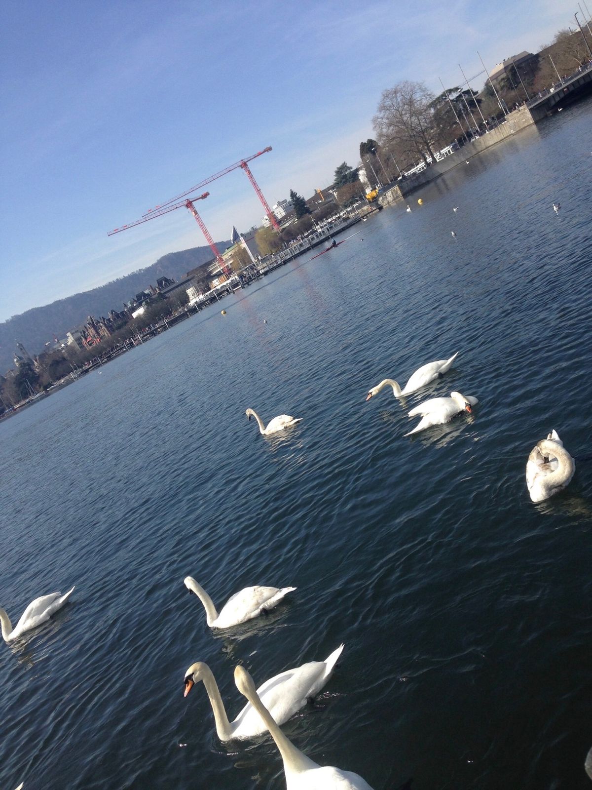 2枚目の噴水は魚から出る水は飲んじゃダメで、天使から出る水を飲み水として飲...