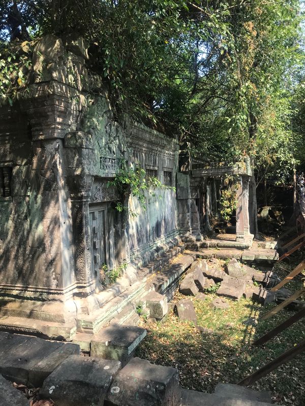 カンボジア・アンコールワット「ベンメリア遺跡を目指して」の写真