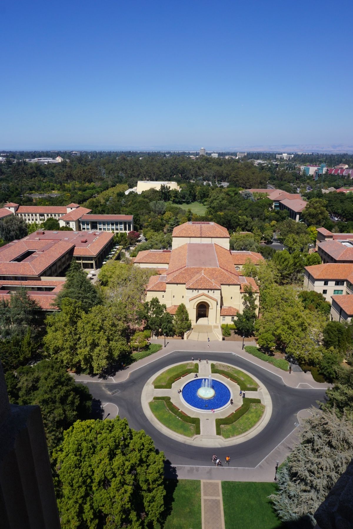 ハーバータワーからの景色！