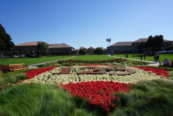 アメリカ(米国)・アメリカ・カリフォルニア・スタンフォード大学「アメリカ・スタンフォード大学」の写真