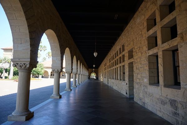 アメリカ(米国)・アメリカ・カリフォルニア・スタンフォード大学「アメリカ・スタンフォード大学」の写真