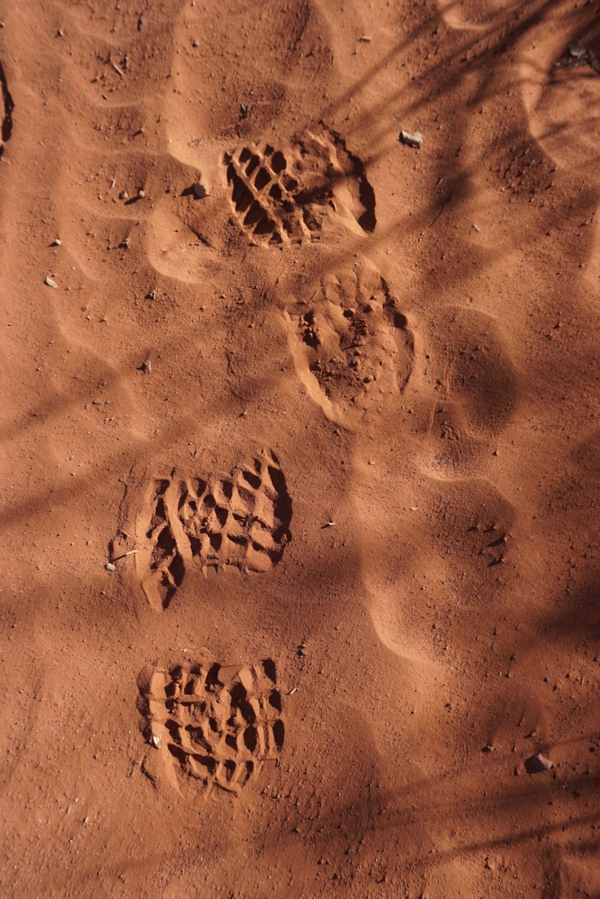 セドナの土！さらさらでした♡
