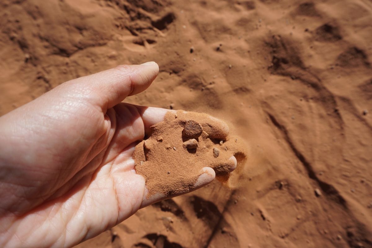 セドナの土！さらさらでした♡