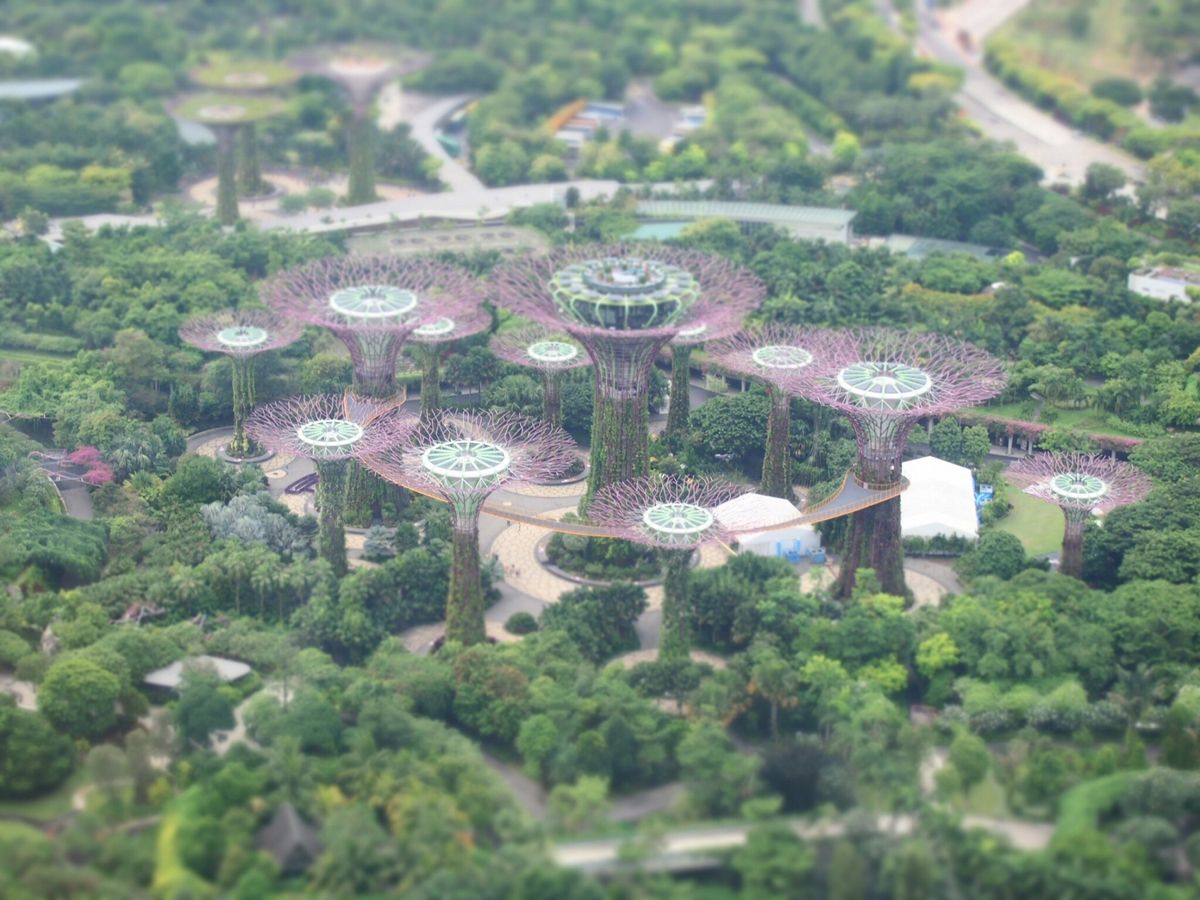 ガーデンズバイザベイ 上から。
不思議な景色。