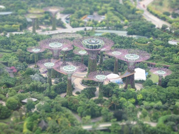 シンガポール「シンガポール2回目 グータラ旅」の写真：ガーデンズバイザベイ 上から。
不思議な景色。