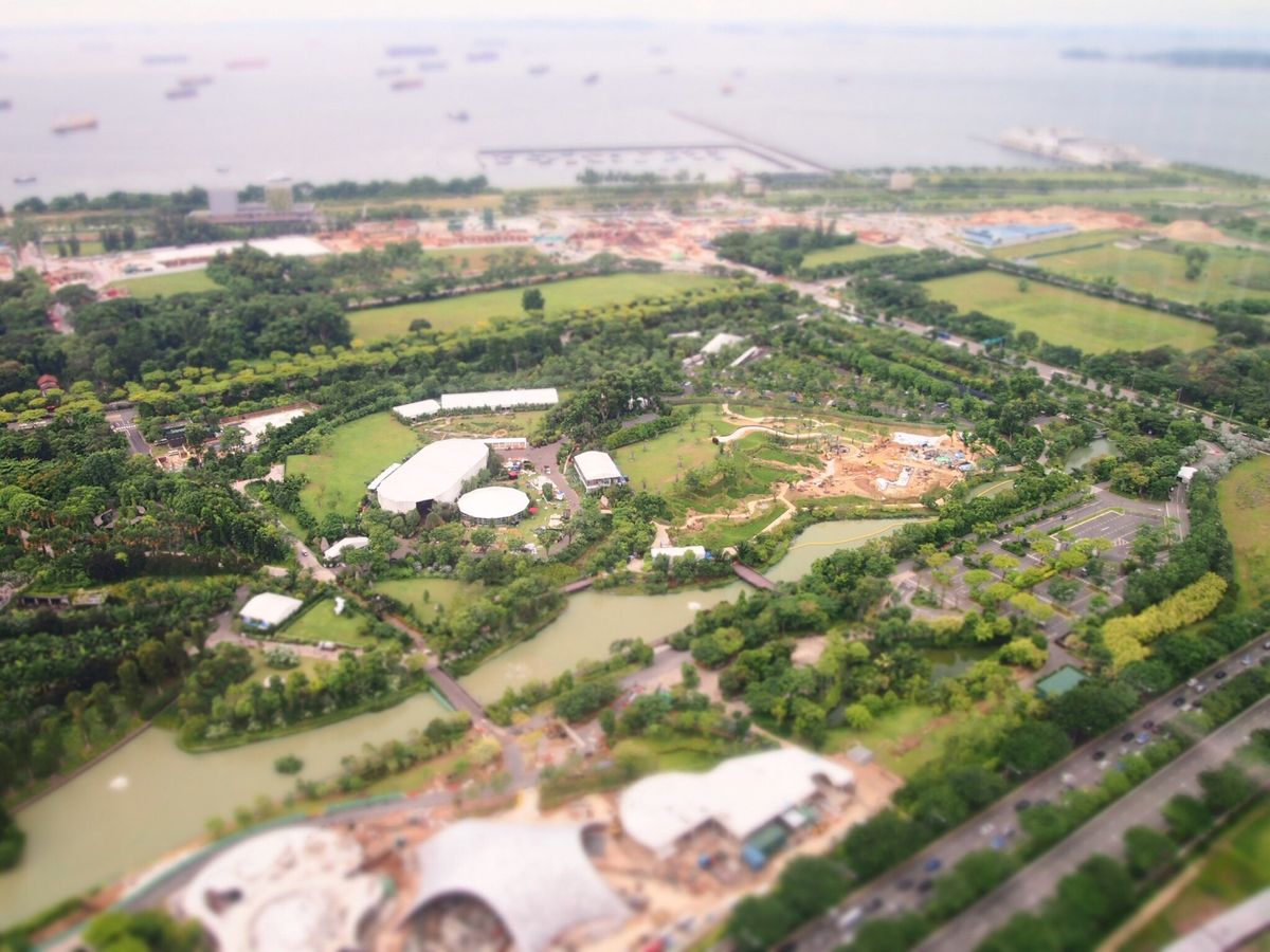 ガーデンズバイザベイ 上から。
不思議な景色。