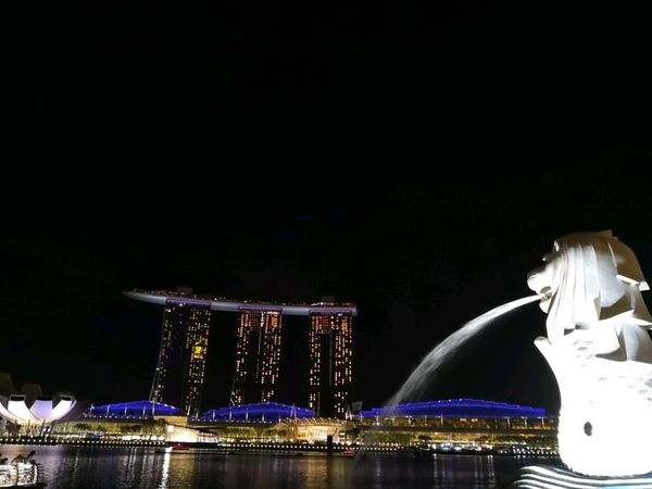 シンガポール・シンガポール「シンガポール」の写真