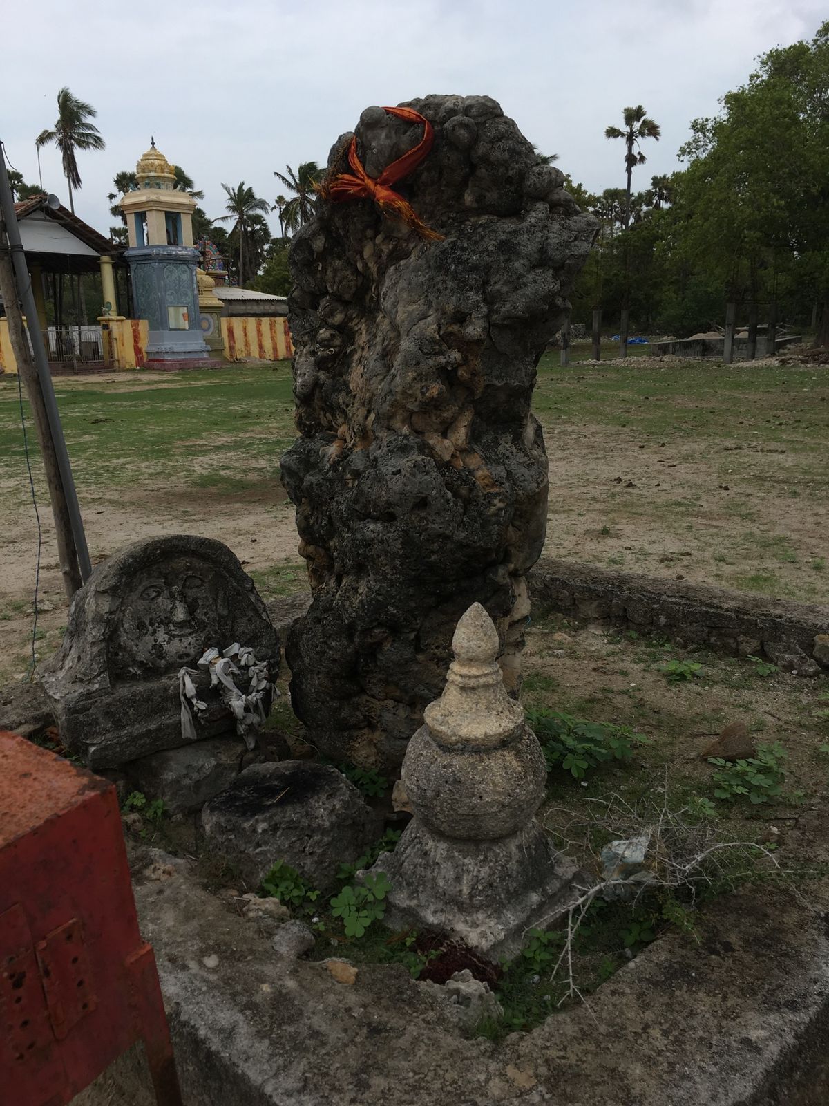 すぐそこはインド。ジャフナからデルフト島へ。