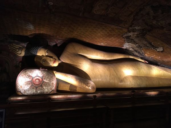 スリランカ・ジャフナ、シーギリヤ、ヌワラエリヤ「スリランカ最北端と紅茶」の写真：ダンブッラ