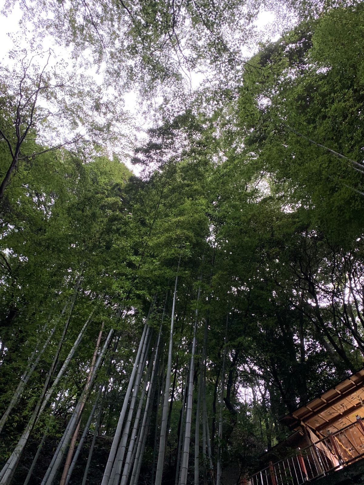 17時過ぎに行った不動滝は、薄暗い中不思議な空間。異次元につながるような、...