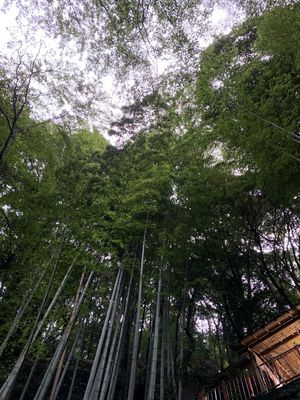 17時過ぎに行った不動滝は、薄暗い中不思議な空間。異次元につながるような、...