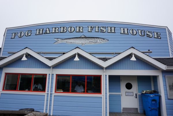 アメリカ(米国)・サンフランシスコ・グレース大聖堂・ピア39「カリフォルニア・サンフランシスコ」の写真：フォグハーバーフィッシュハウスでランチ！