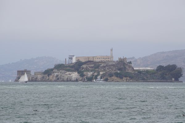 アメリカ(米国)・サンフランシスコ・グレース大聖堂・ピア39「カリフォルニア・サンフランシスコ」の写真：遠くに見えるはアルカトラズ島！昔は刑務所...