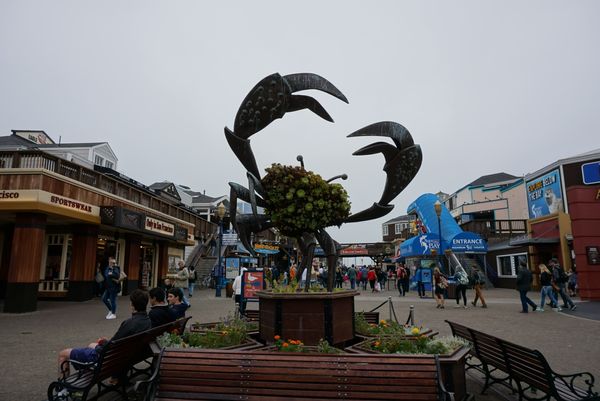 アメリカ(米国)・サンフランシスコ・グレース大聖堂・ピア39「カリフォルニア・サンフランシスコ」の写真