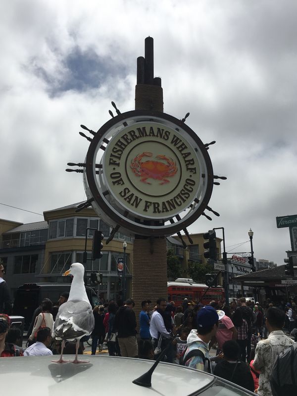 アメリカ(米国)・サンフランシスコ・グレース大聖堂・ピア39「カリフォルニア・サンフランシスコ」の写真