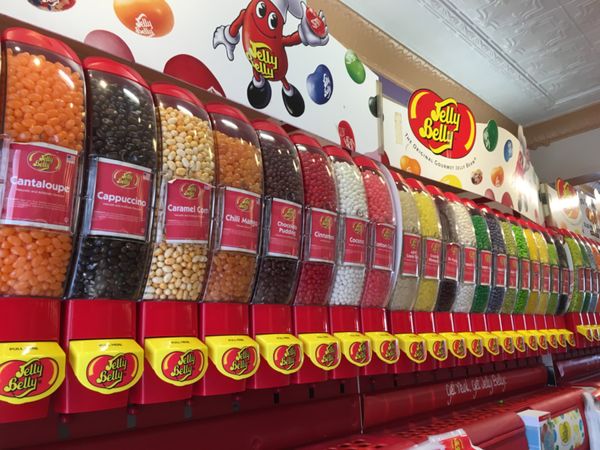 アメリカ(米国)・サンフランシスコ・グレース大聖堂・ピア39「カリフォルニア・サンフランシスコ」の写真