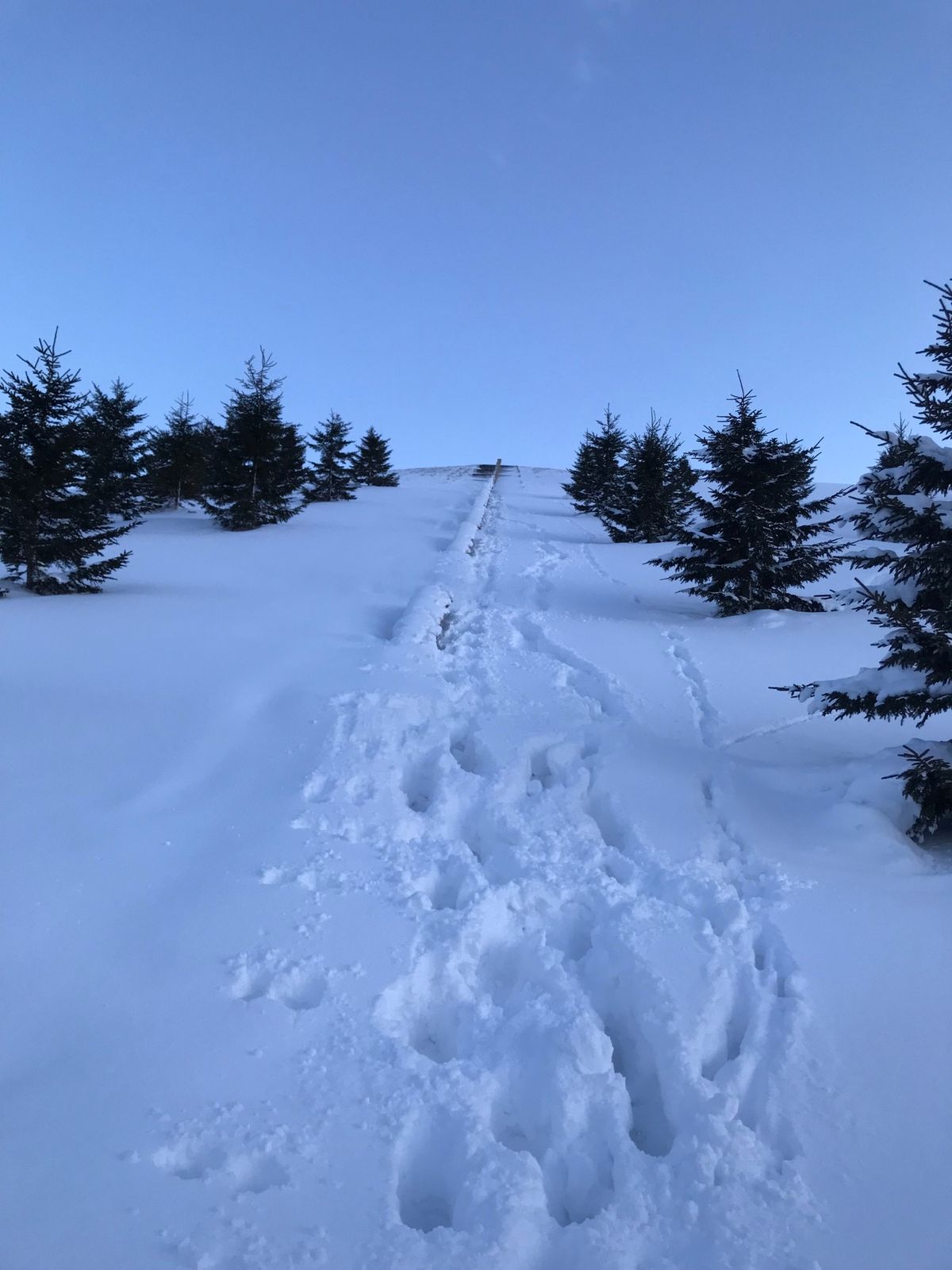 真っ白って心洗われる…よね？